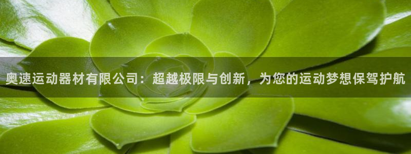 海南意昂体育4发展怎么样:奥速运动器材有限公司:超越极限与创