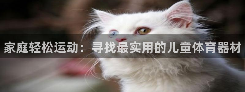 意昂平台体育:家庭轻松运动:寻找最实用的儿童体育器材