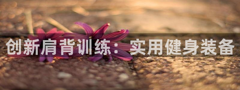 意昂4娱乐40996:创新肩背训练:实用健身装备