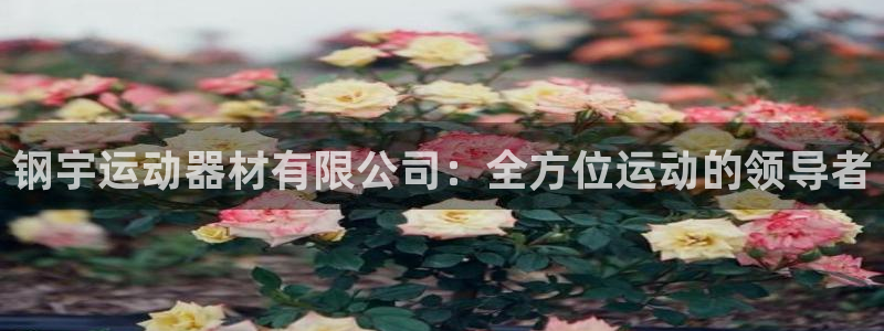 意昂4娱乐是那个系列的台子:钢宇运动器材有限公司:全方位运动